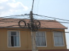 DSCN7531
