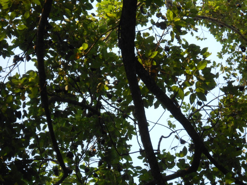 DSCN7641
