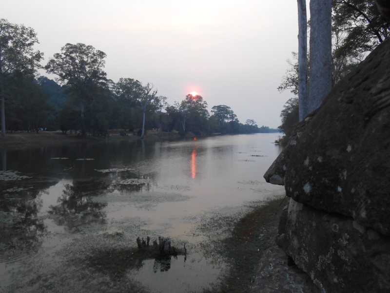 DSCN7684