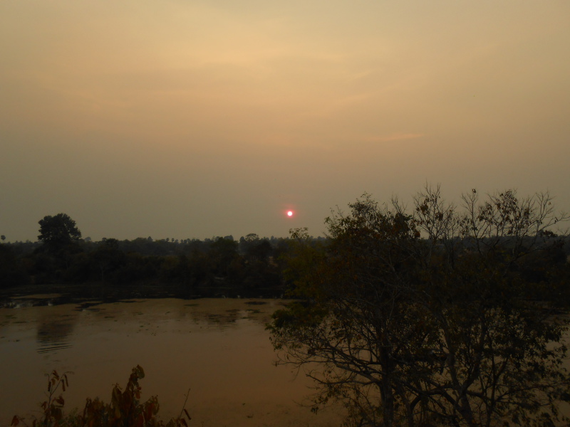 DSCN7705