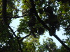 DSCN7639