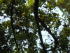 DSCN7641