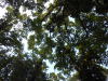 DSCN7642