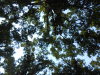 DSCN7643