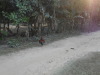 DSCN7669