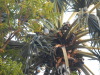 DSCN7673