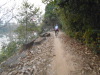 DSCN7698