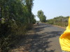 DSCN7891