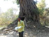 DSCN7897