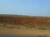 DSCN7919