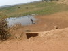 DSCN7986