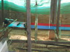 DSCN8079