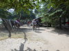 DSCN8096
