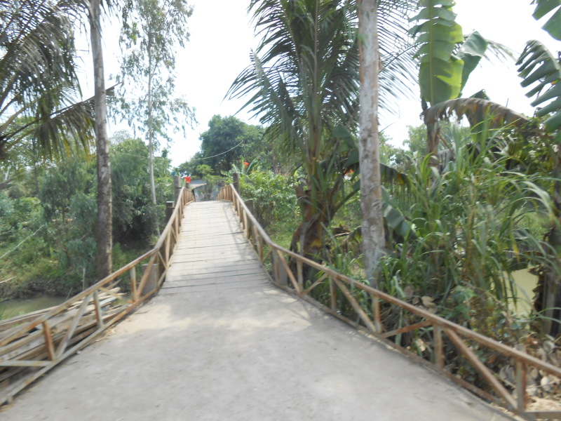 DSCN8198