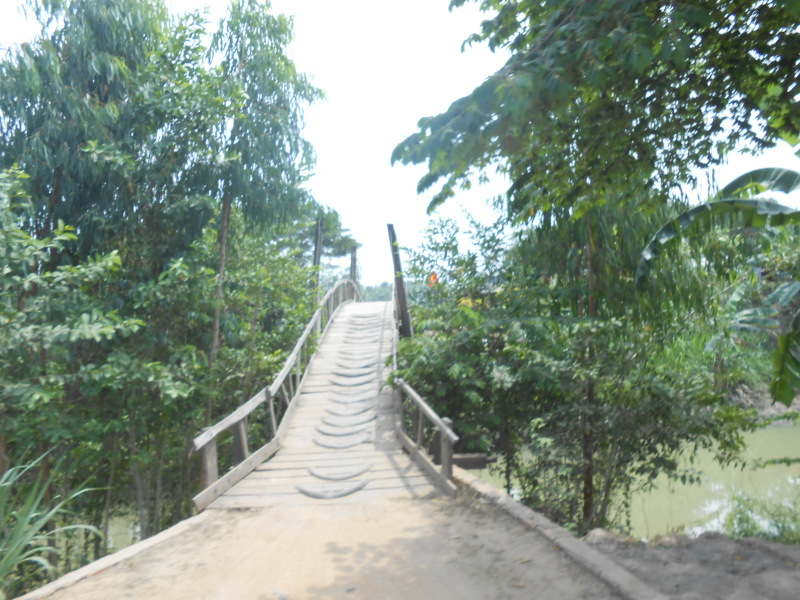 DSCN8201