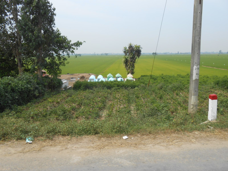 DSCN8215