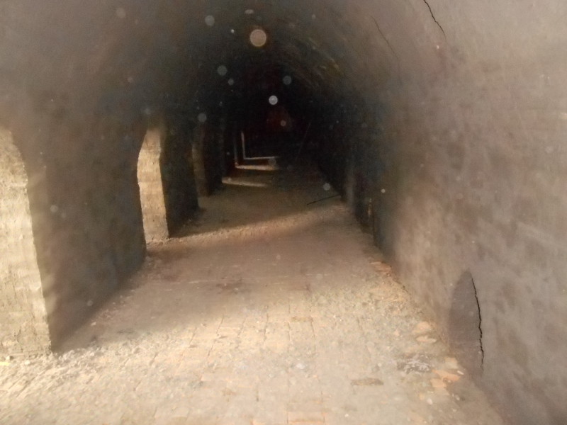 DSCN8240