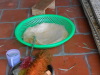 DSCN8281