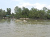 DSCN8304
