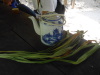 DSCN8482
